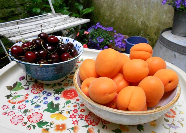 cherries & apricots